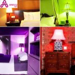 لامپ رقص نور اسپیکر دار