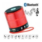 مینی-اسپیکر-بلوتوث-و-قابل-حمل-Wster-مدل-WS-887-1