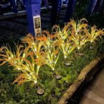 چراغ باغچه‌ای تزیینی خورشیدی دفنی طرح خوشه