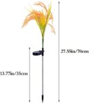 چراغ باغچه‌ای خورشیدی دفنی خوشه برنج