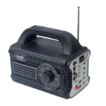 قیمت سیستم روشنایی خورشیدی دیپ کینگ مدل DK-801SL